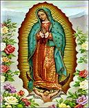 L’Immaculée Conception de la très sainte Vierge Marie Floresdq2hjhj